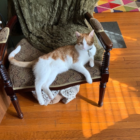 Meet Your Posher, Danny - Picture 2 of 9